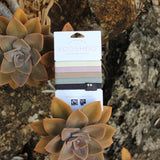 KOOSHOO plastic-free hair ties on packaging in succulent garden and earthy rocks. Consciously created and fairtrade certified #color_silver