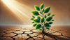 The Real Cost of Better: How One Sustainable Brand Survived the Post-Pandemic Recession
