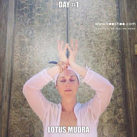 Lotus, the Heart Opening Mudra - 30 Weeks of Mudras